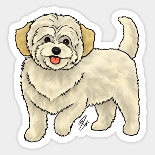 Dog - Maltipoo - Cream Sticker